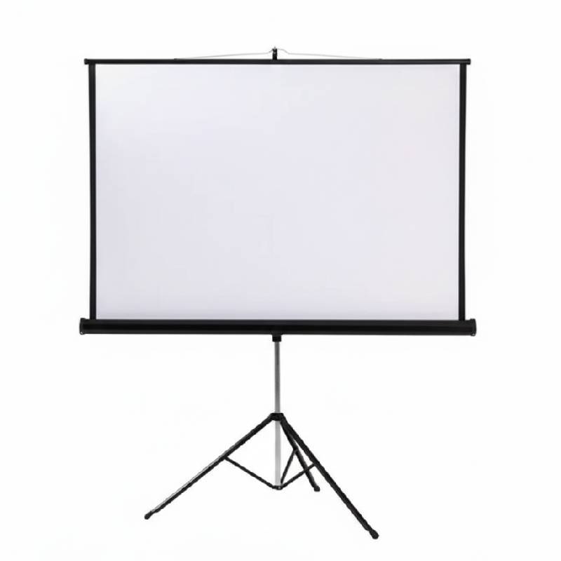 Экран для проектора на штативе 240×180 см